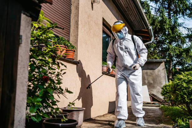 Best Local Pest Control Services  in Elkin, NC