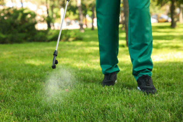 Best Wasp Removal Services  in Elkin, NC