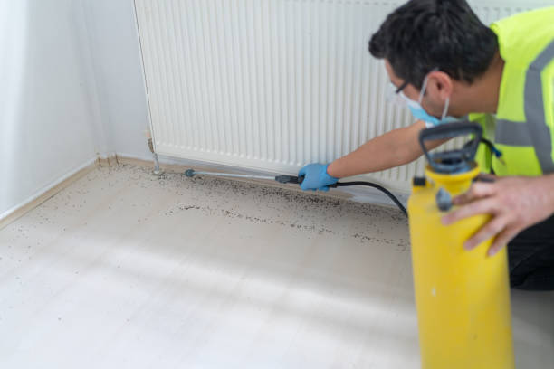Trusted Elkin, NC Pest Control Experts